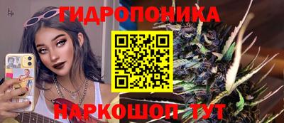 2c-b Ачхой-Мартан