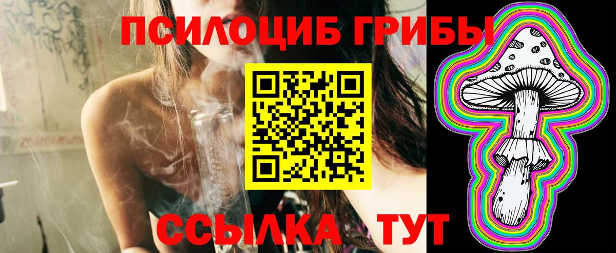 Галлюциногенные грибы Cubensis Белебей