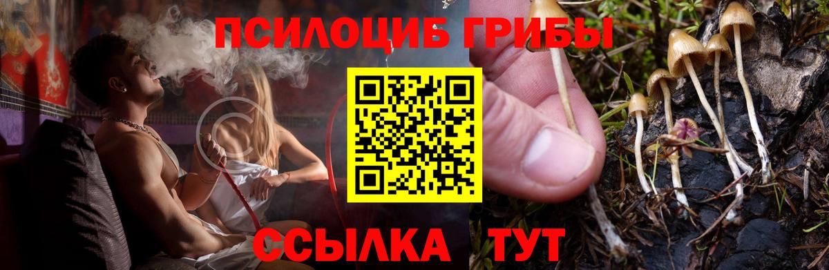 Псилоцибиновые грибы мицелий Белебей
