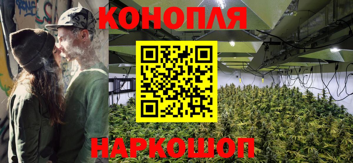 Шишки марихуана планчик  Шишки марихуана THC 21%  Вход с VPN  Бошки Шишки индика  Белебей 